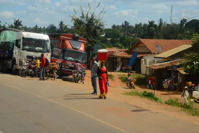 DSC_9689 (Large).JPG